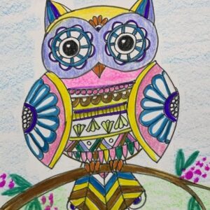 Owl Doodle Art | 1Hr | Pre - Recorded | 8-10 Years