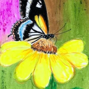 Butter Fly Artwork | 1Hr | Pre - Recorded | 10+Years & Moms